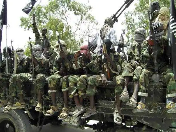 We are getting offers from foreign, local organizations to join in destabilising Nigeria – Militants